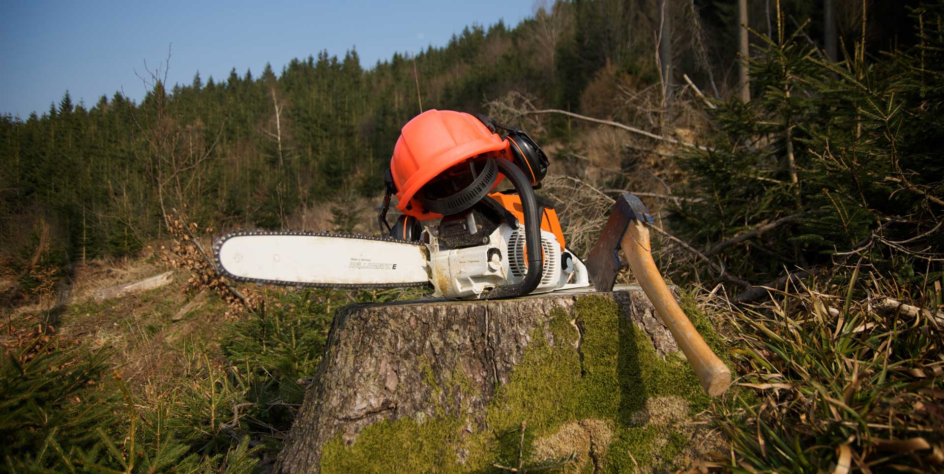 Skog & Trädgård