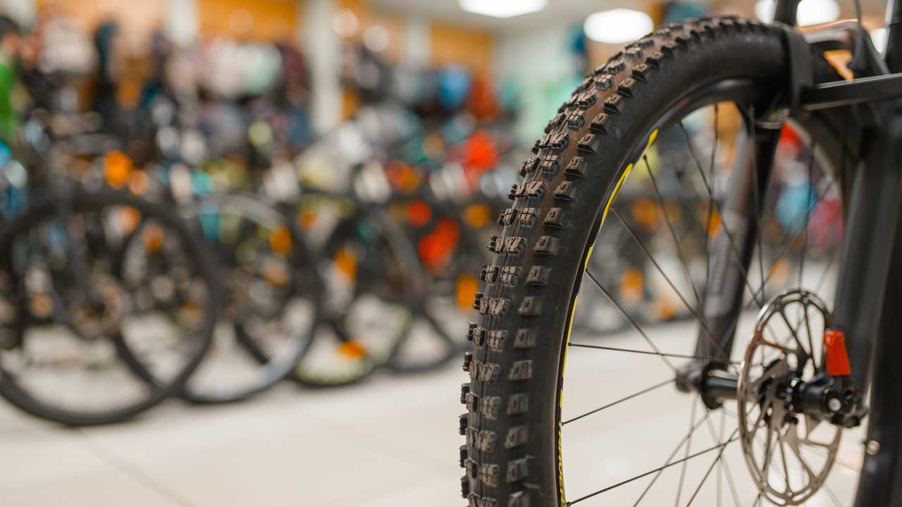Cyklar Mickes skog & trädgård