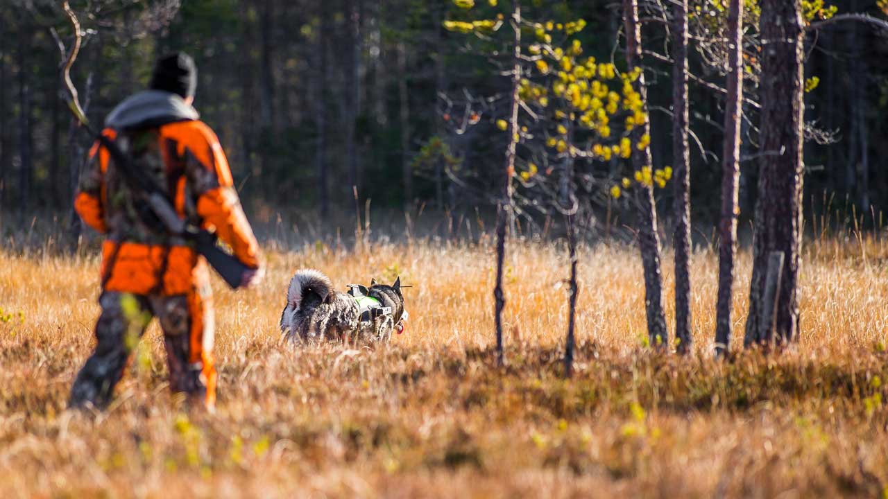 Jakt & Fritid hos Mickes skog och trädgård